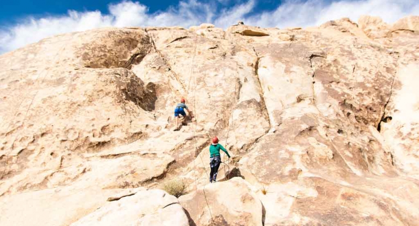 People wearing safety gear appear small agains a tall rock face. 